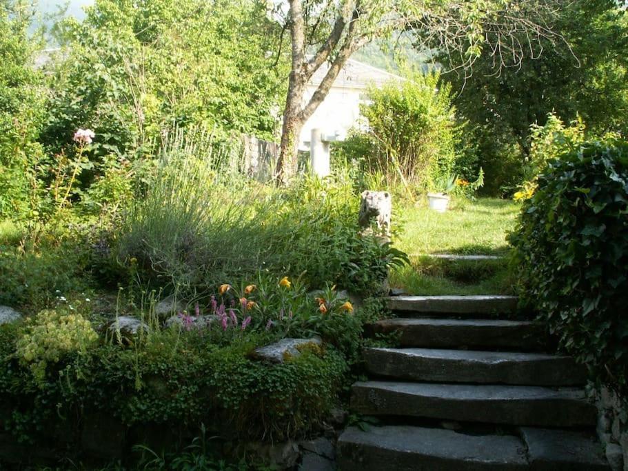 Magnifique Maison De Maitre Du 18E Avec Jardin Люс-Сен-Совер Екстериор снимка