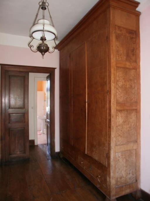 Magnifique Maison De Maitre Du 18E Avec Jardin Люс-Сен-Совер Екстериор снимка