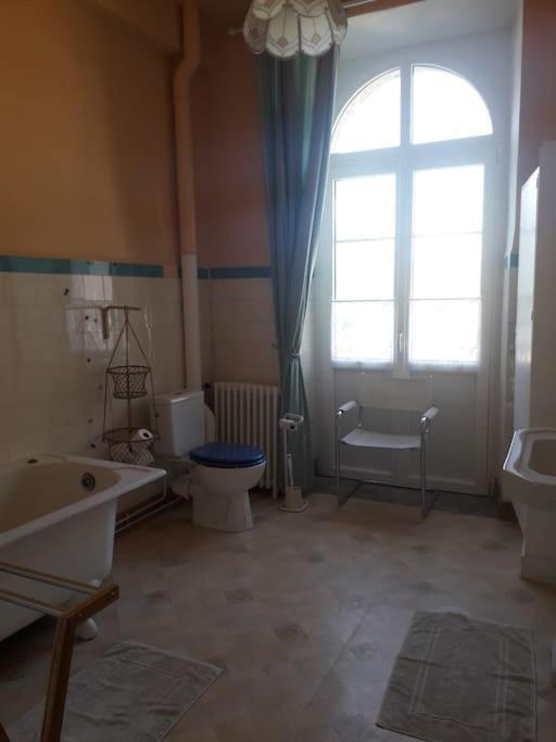 Magnifique Maison De Maitre Du 18E Avec Jardin Люс-Сен-Совер Екстериор снимка