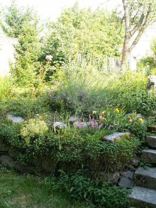 Magnifique Maison De Maitre Du 18E Avec Jardin Люс-Сен-Совер Екстериор снимка