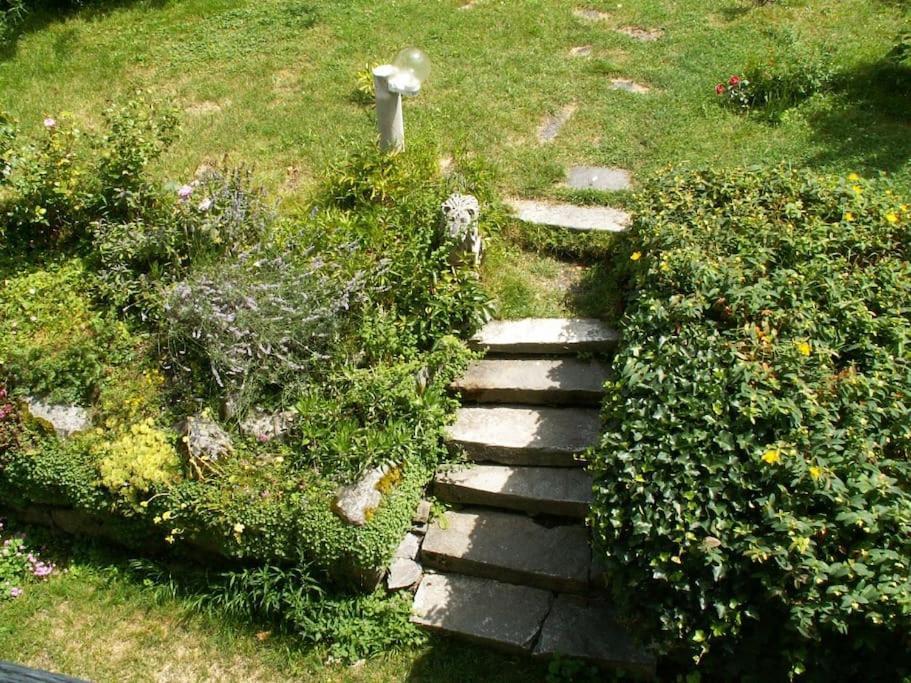 Magnifique Maison De Maitre Du 18E Avec Jardin Люс-Сен-Совер Екстериор снимка
