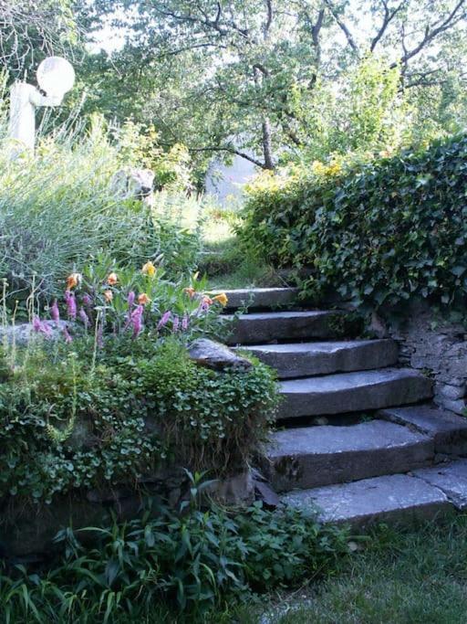 Magnifique Maison De Maitre Du 18E Avec Jardin Люс-Сен-Совер Екстериор снимка