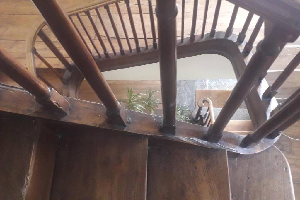 Magnifique Maison De Maitre Du 18E Avec Jardin Люс-Сен-Совер Екстериор снимка
