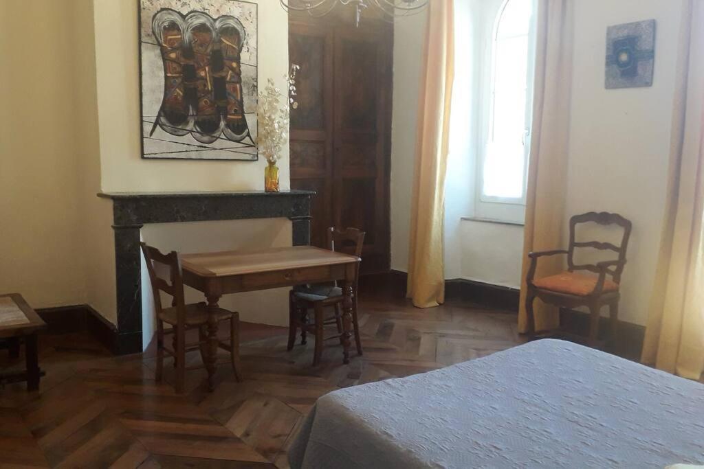 Magnifique Maison De Maitre Du 18E Avec Jardin Люс-Сен-Совер Екстериор снимка