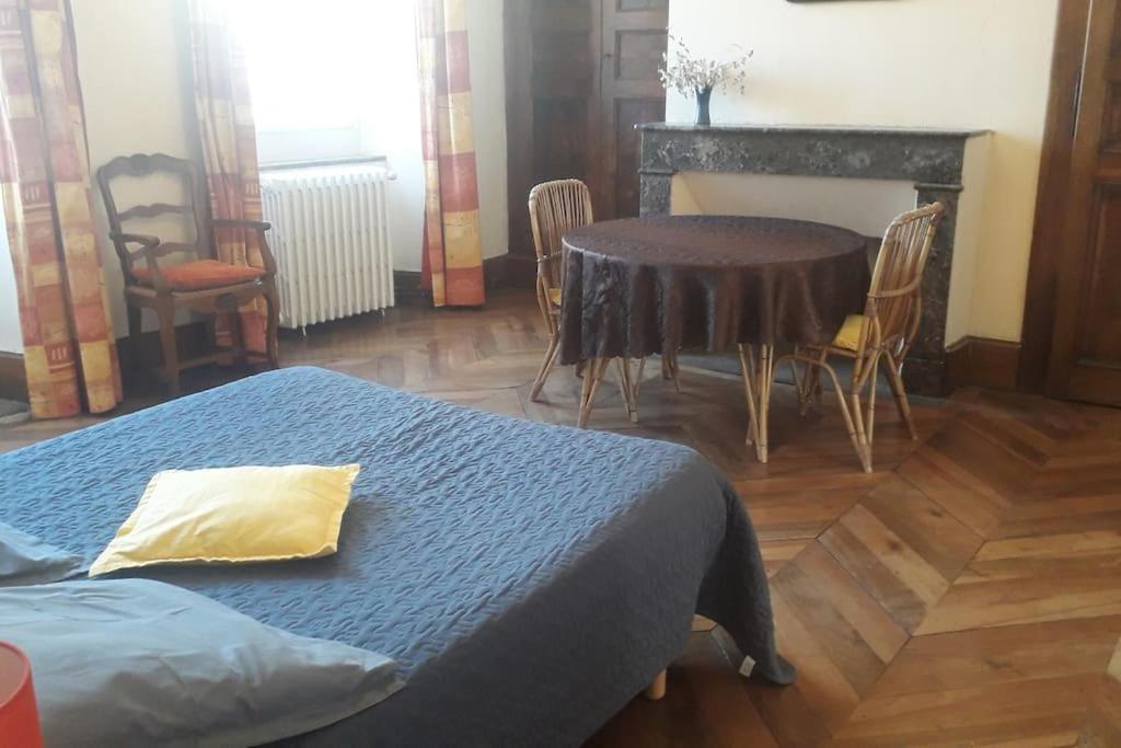 Magnifique Maison De Maitre Du 18E Avec Jardin Люс-Сен-Совер Екстериор снимка